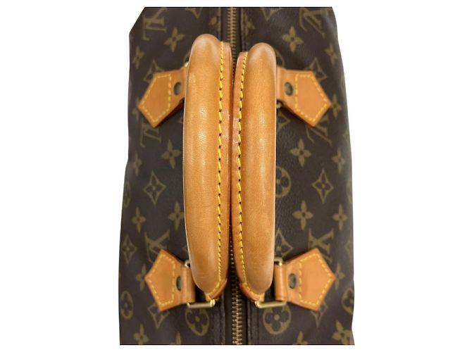 Borsa Boston Louis Vuitton Speedy 30 Marrone - vista 10
