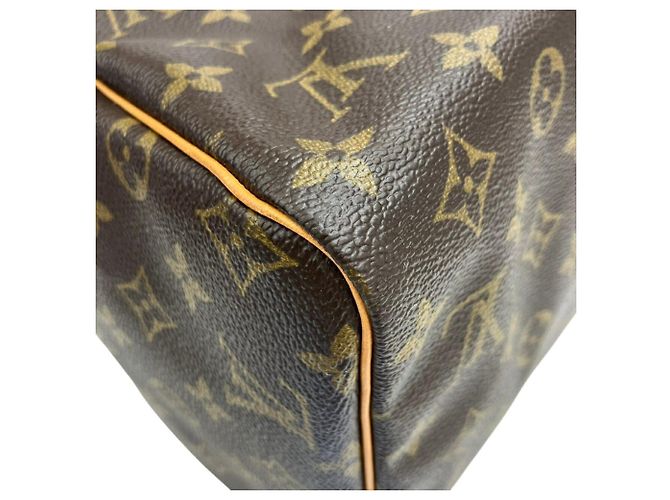 Borsa Boston Louis Vuitton Speedy 30 Marrone - vista 6