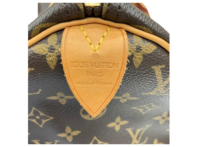 LOUIS VUITTON Speedy 30 Boston Bag Marrone - vista 10