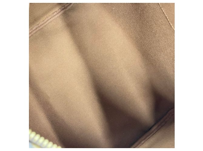 LOUIS VUITTON Speedy 30 Boston Bag Marrone - vista 14