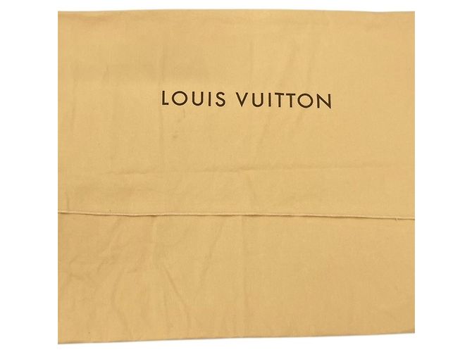 LOUIS VUITTON Speedy 30 Boston Bag Marrone - vista 15