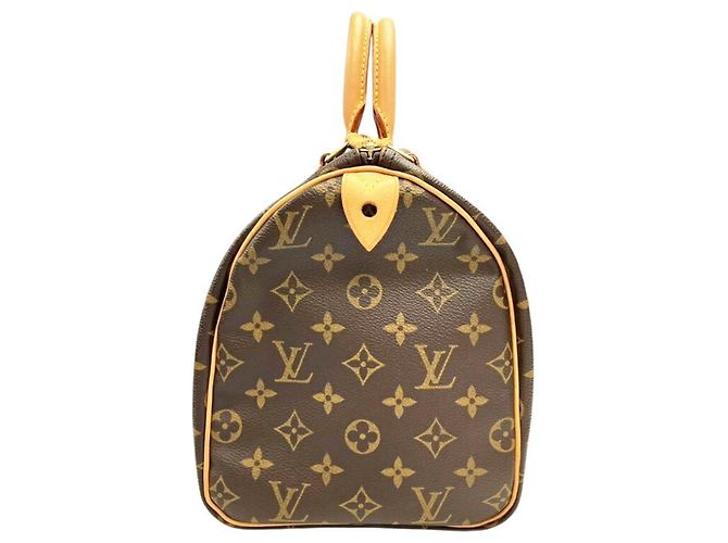 LOUIS VUITTON Speedy 30 Boston Bag Marrone - vista 3
