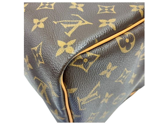 LOUIS VUITTON Speedy 30 Boston Bag Marrone - vista 9