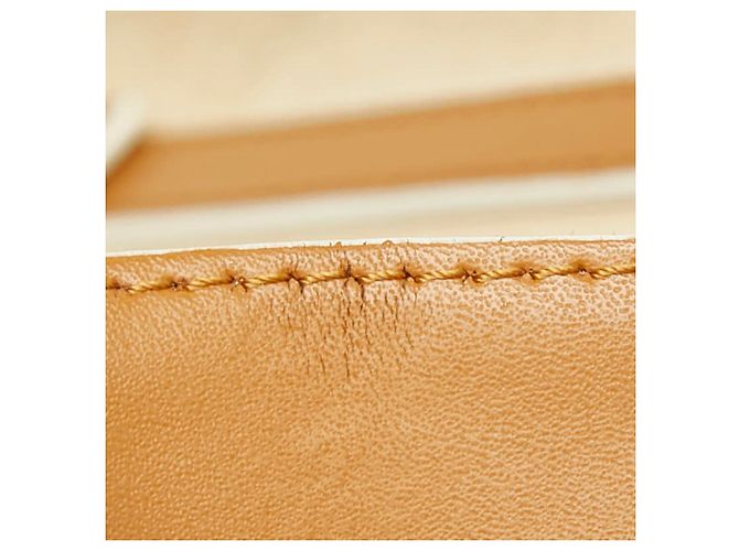 Mini borsa a tracolla con catena Fendi Kanai Marrone - vista 10