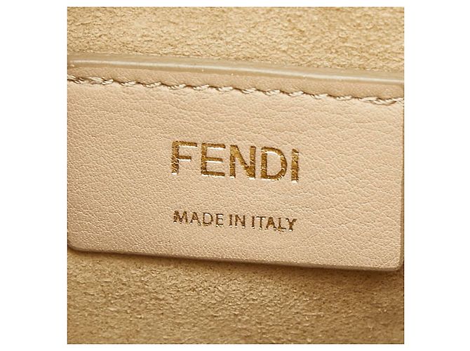 Mini borsa a tracolla con catena Fendi Kanai Marrone - vista 14