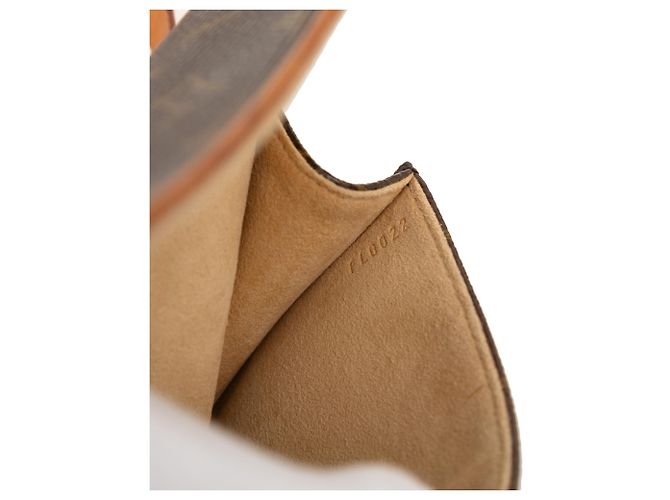 Louis Vuitton Pochette Florentine Monogram marrone - vista 6