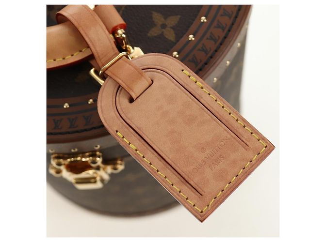 LOUIS VUITTON Borsa Monogram Vesque Cannes M10244 LV Auth 187320SM Monogramma - vista 10