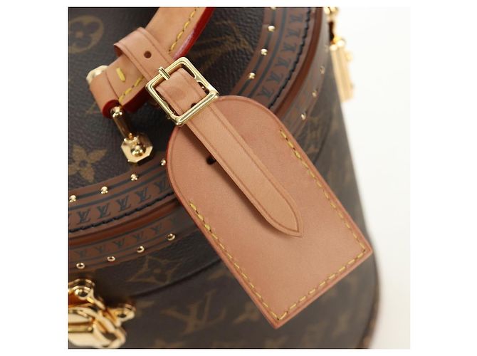 LOUIS VUITTON Borsa Monogram Vesque Cannes M10244 LV Auth 187320SM Monogramma - vista 20