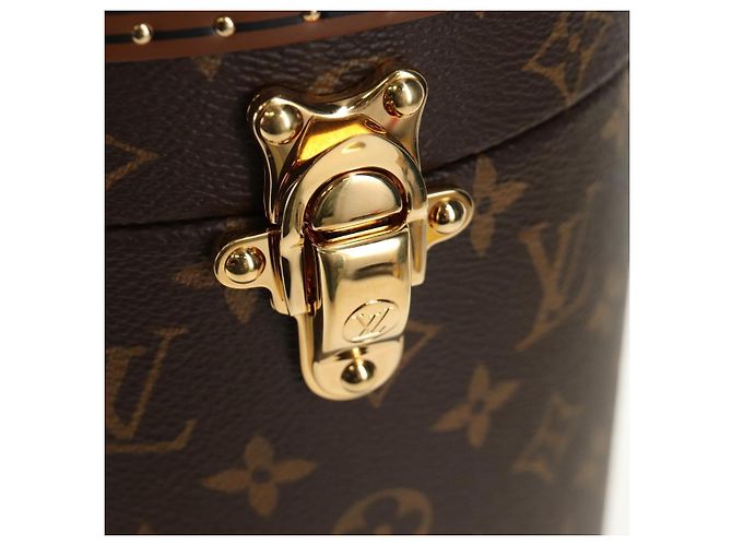 LOUIS VUITTON Borsa Monogram Vesque Cannes M10244 LV Auth 187320SM Monogramma - vista 22