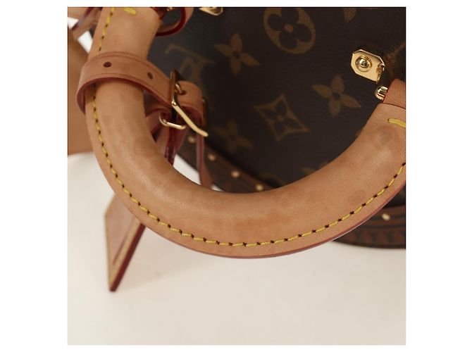 LOUIS VUITTON Borsa Monogram Vesque Cannes M10244 LV Auth 187320SM Monogramma - vista 7