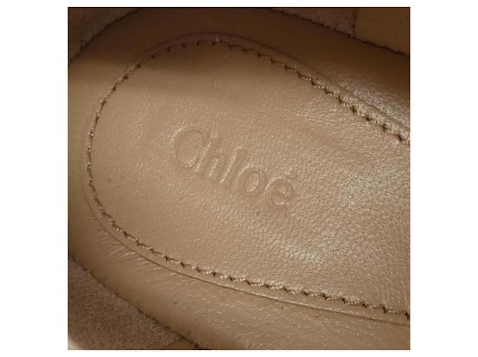 Chloé Scarpe basse Chloe Marrone - vista 6