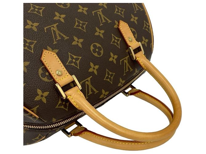 Borsa Louis Vuitton Rivera MM Monogram Leather Marrone - vista 4