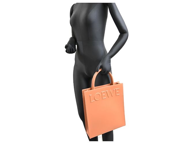 Borsa Tote Loewe Standard A4 da donna Marrone - vista 9
