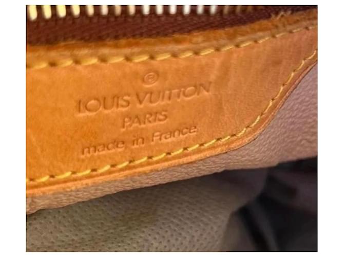 Borsa a secchiello Louis Vuitton Monogram Noe Marrone Monogramma - vista 2