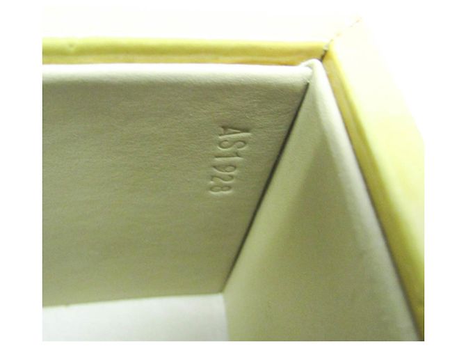 Borsa a mano/Beauty case Louis Vuitton Vernis Bleecker M91002 Giallo - vista 13