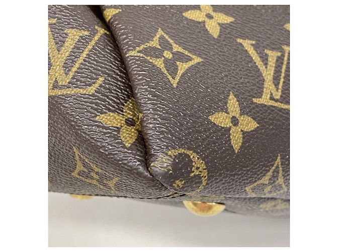 Borsa Louis Vuitton Monogram Pallas D'oro Crudo - vista 6