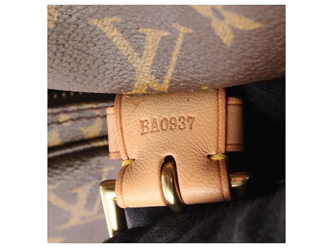Zaino/Borsa Louis Vuitton Montsouris GM Marrone - vista 5