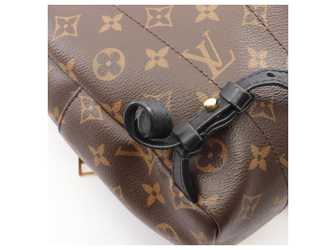 Mochila Louis Vuitton Palm Springs PM Castaño Beige - vista 9