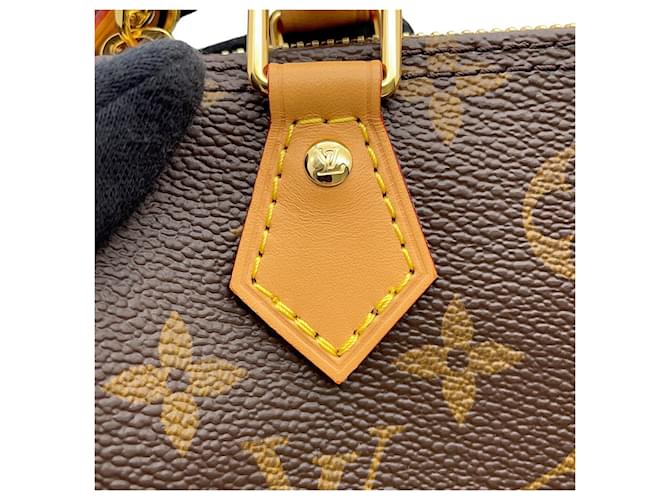Bolso Louis Vuitton Monogram Nano Speedy Castaño - vista 8