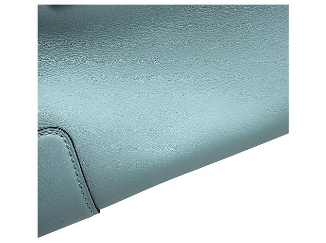 Borsa a mano in pelle Loewe Amazona 28 Blu chiaro - vista 10