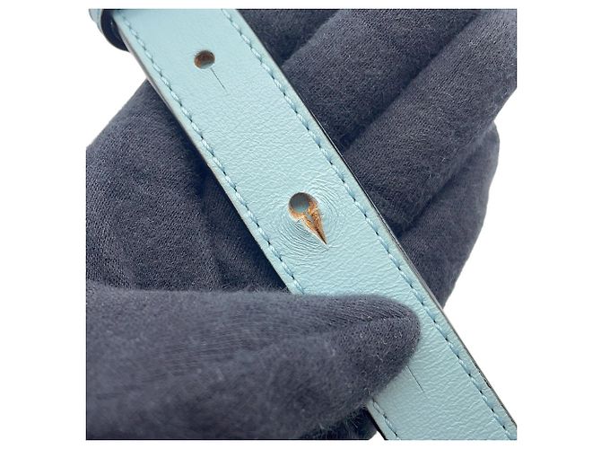 Borsa a mano in pelle Loewe Amazona 28 Blu chiaro - vista 16
