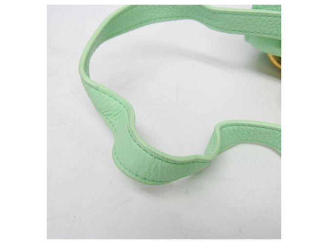 Bottega Veneta Mount Leather Small Verde - vista 6