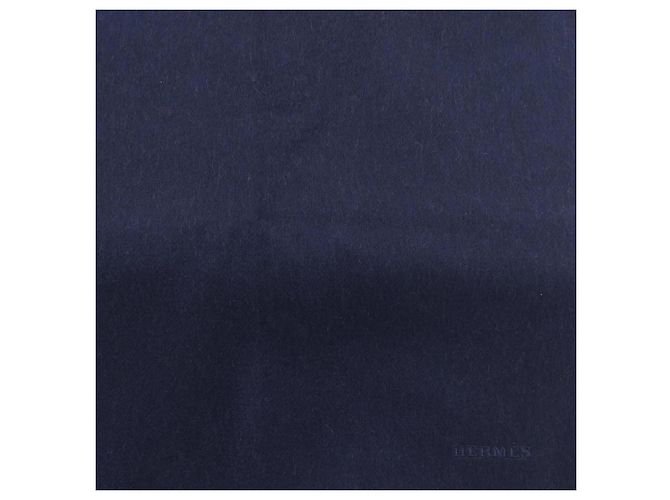 Hermès Hermes RECTO VERSO H393800T Stole Verde Blu navy - vista 4
