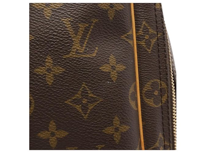 Bolso para zapatos Louis Vuitton Monogram Excursion Castaño - vista 4