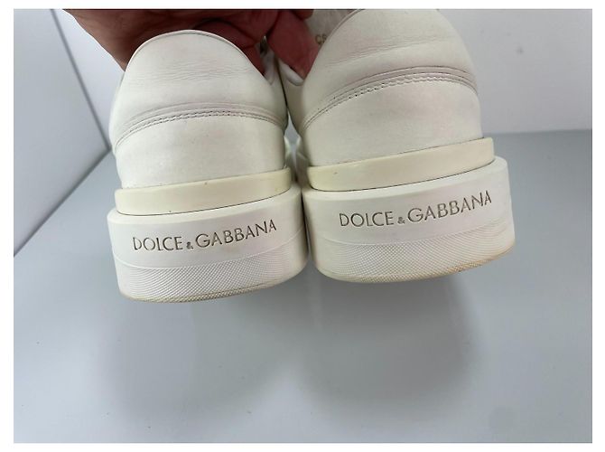 sneakers basse Roma di Dolce & Gabbana Bianco - vista 7
