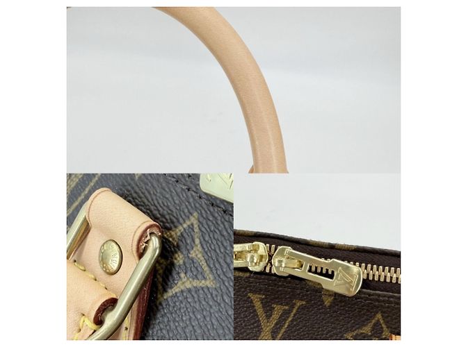 Borsa Louis Vuitton Alma PM Marrone - vista 7