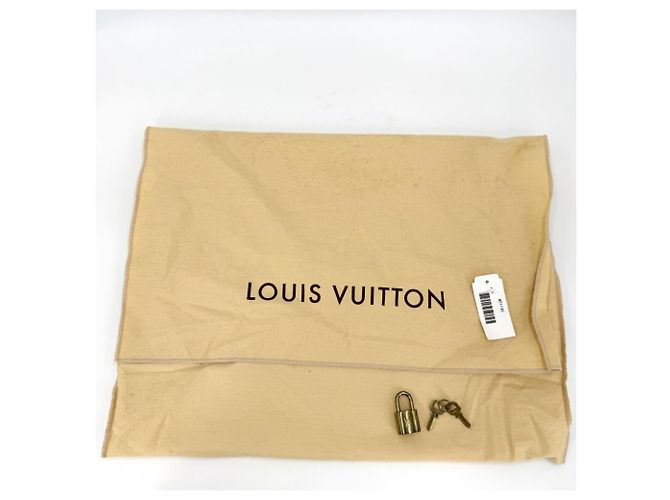 Borsa Louis Vuitton Alma PM Marrone - vista 8