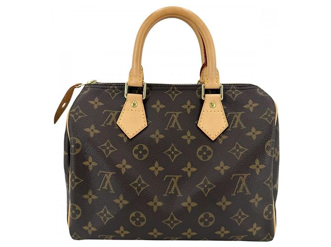 Borsa Boston Mini Monogram Speedy 25 da donna Louis Vuitton Marrone - vista 2