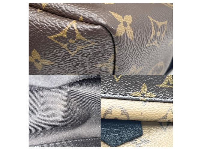 Zaino Louis Vuitton Monogram Palm Springs PM da donna - vista 6