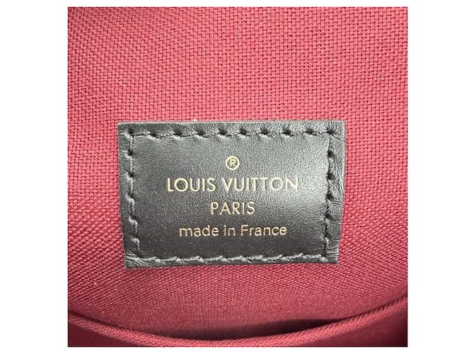 Mochila Louis Vuitton Monogram Montsouris NM PM para mujer Castaño Negro - vista 5