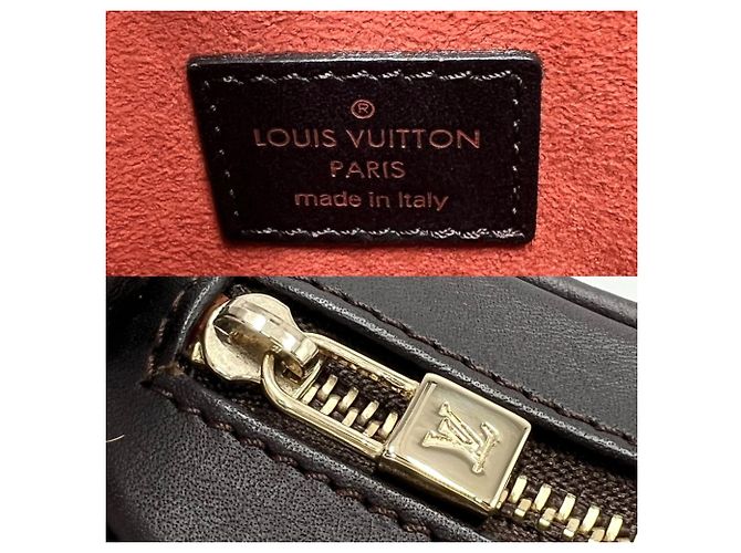 Mini borsa Louis Vuitton Damier Sauvage Tiger Marrone - vista 5