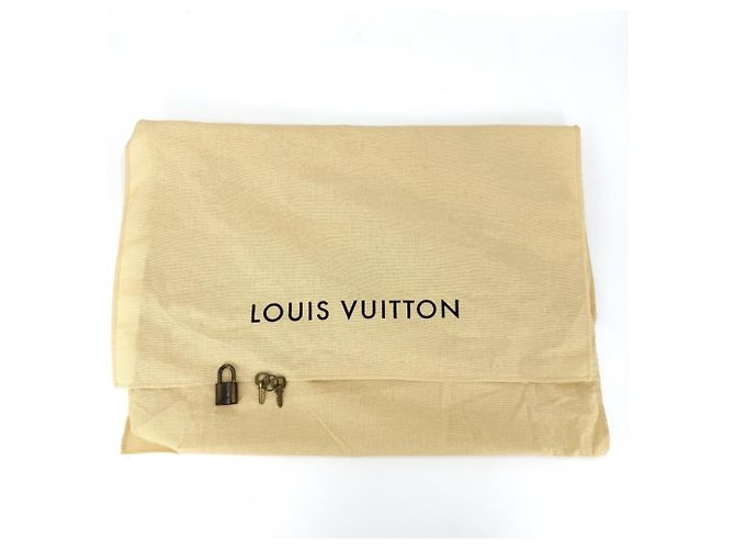 Borsa Louis Vuitton Alma PM Marrone - vista 8