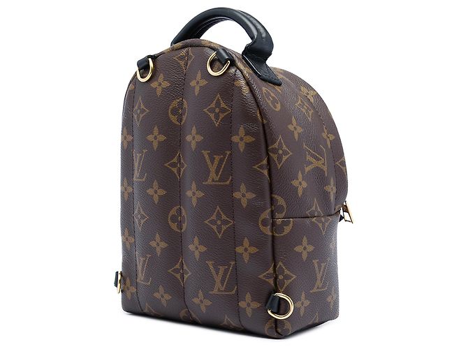 Louis Vuitton Braun Monogram Mini Palm Springs - Ansicht 2