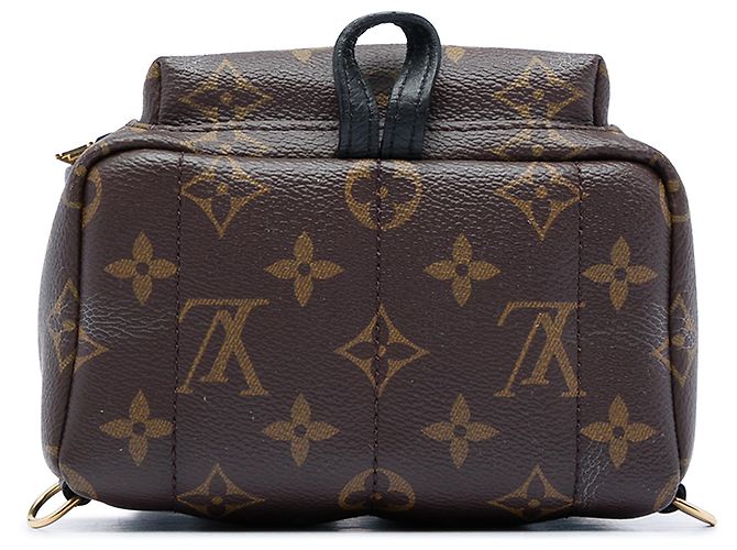 Louis Vuitton Braun Monogram Mini Palm Springs - Ansicht 3