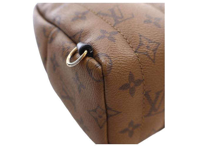 Louis Vuitton Marrón Monogram Reverse Mini Palm Springs Castaño - vista 10