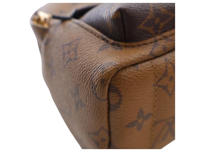 Louis Vuitton Marrón Monogram Reverse Mini Palm Springs Castaño - vista 12