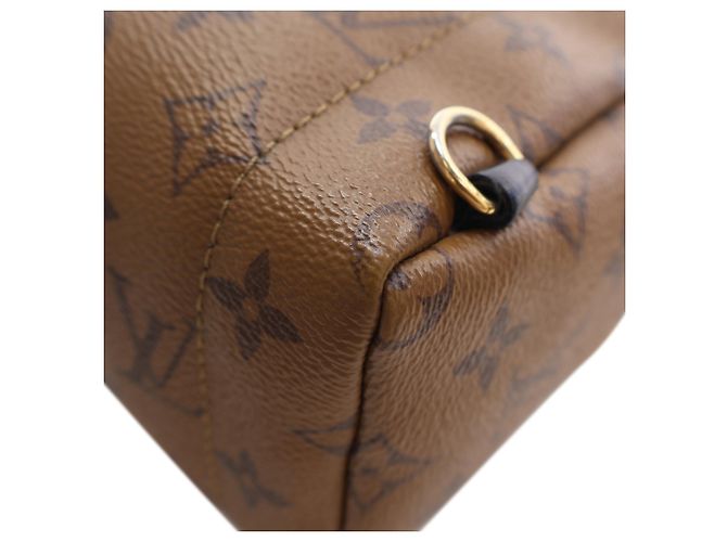 Louis Vuitton Marrón Monogram Reverse Mini Palm Springs Castaño - vista 13
