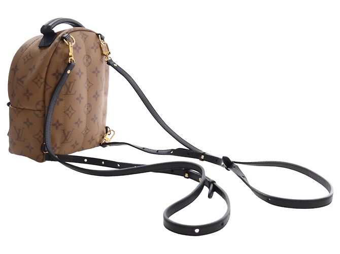 Louis Vuitton Marrón Monogram Reverse Mini Palm Springs Castaño - vista 14