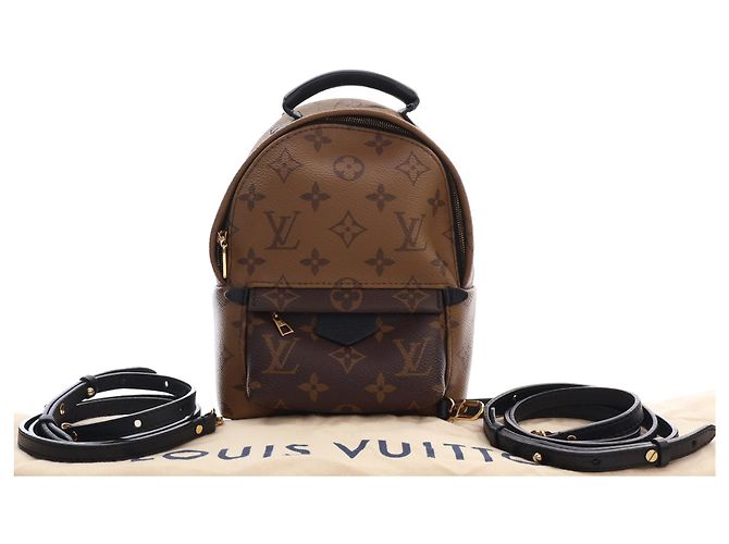 Louis Vuitton Marrón Monogram Reverse Mini Palm Springs Castaño - vista 15