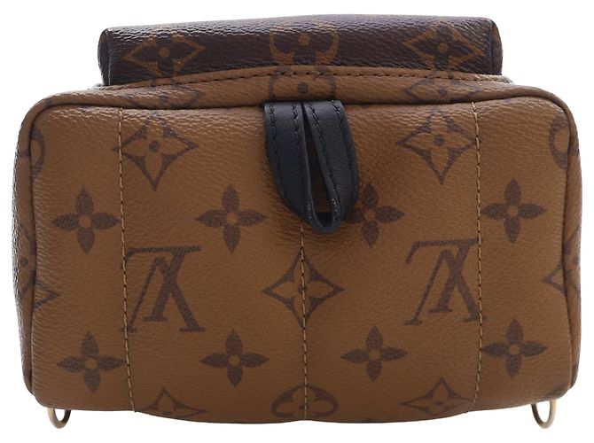 Louis Vuitton Marrón Monogram Reverse Mini Palm Springs Castaño - vista 6