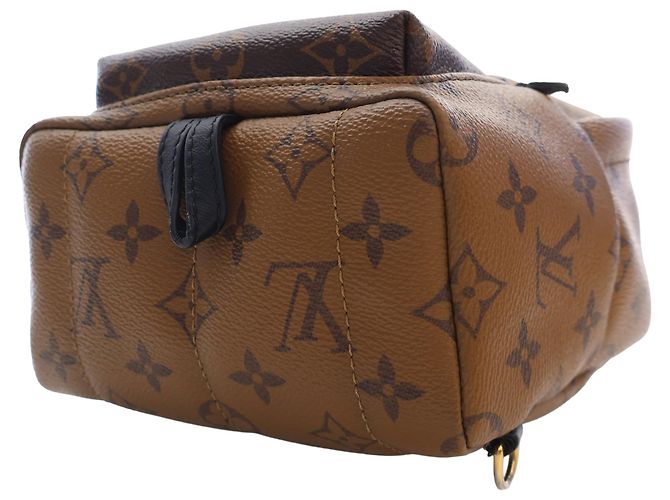 Louis Vuitton Marrón Monogram Reverse Mini Palm Springs Castaño - vista 7