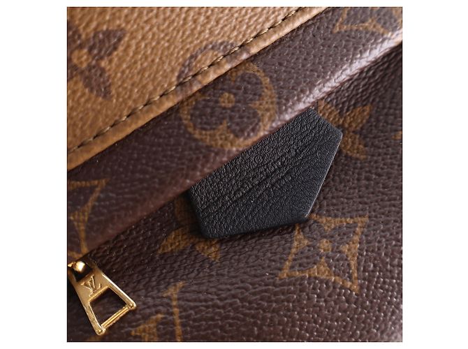 Louis Vuitton Marrón Monogram Reverse Mini Palm Springs Castaño - vista 9