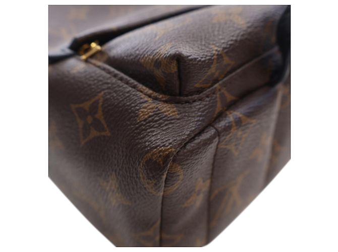 Louis Vuitton Marrón Monogram Mini Palm Springs Castaño - vista 11