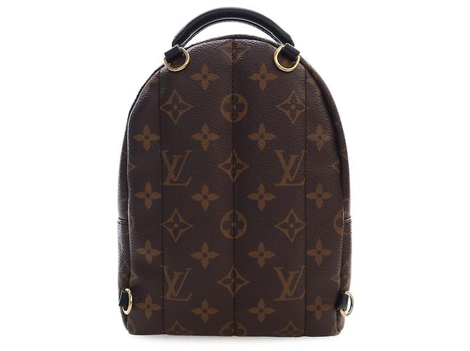 Louis Vuitton Marrón Monogram Mini Palm Springs Castaño - vista 12
