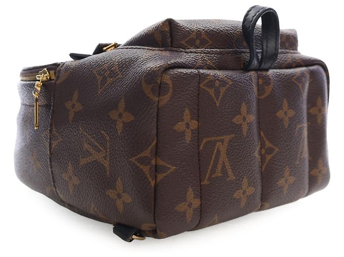 Louis Vuitton Marrón Monogram Mini Palm Springs Castaño - vista 13