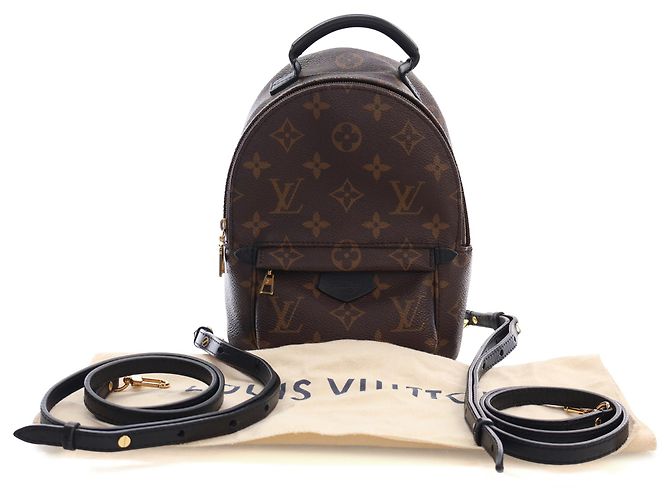 Louis Vuitton Marrón Monogram Mini Palm Springs Castaño - vista 15
